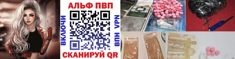 Альфа ПВП СК  ОМГ ОМГ ТОР  Гвардейск 