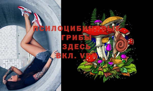 не бодяженный Верея